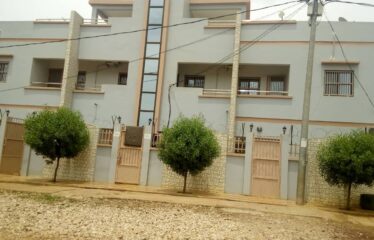 A vendre maison de standing à Sébénicoro