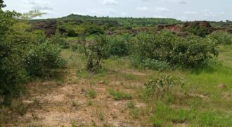 06 Titres Fonciers Individuel/Foura Tienfala – /Koulikoro, Mali