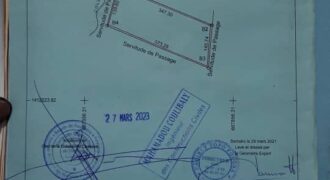 5 hectares à vendre à dialakoroba