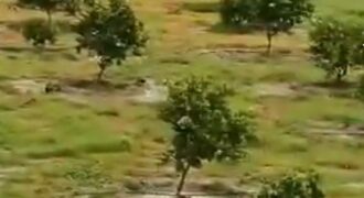 30 Km de Bamako terrain à vendre