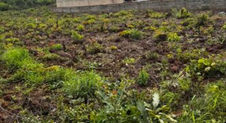 Terrain à vendre à kati