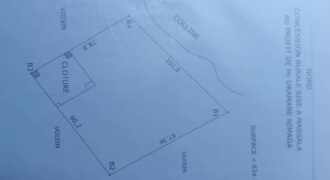 Terrain à vendre à massala